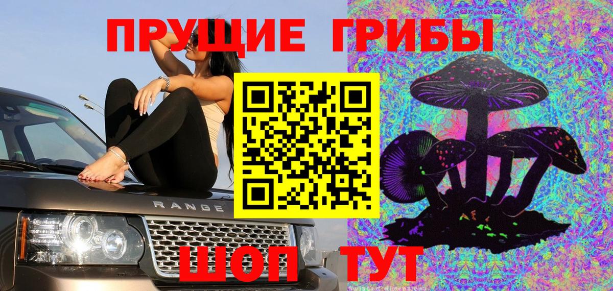 Бердск  Псилоцибиновые грибы Magic Shrooms  Вход с VPN 