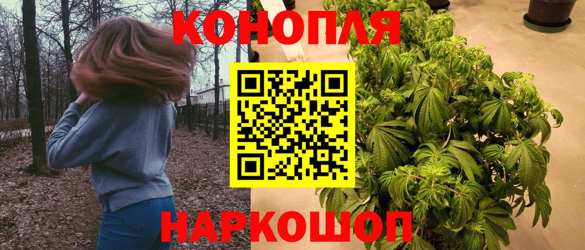 Конопля ГИДРОПОН  Вход с VPN  Каннабис White Widow  Бердск 
